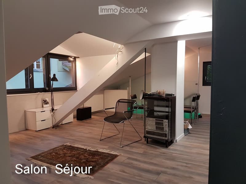 Appartement d'architecte à louer (5)