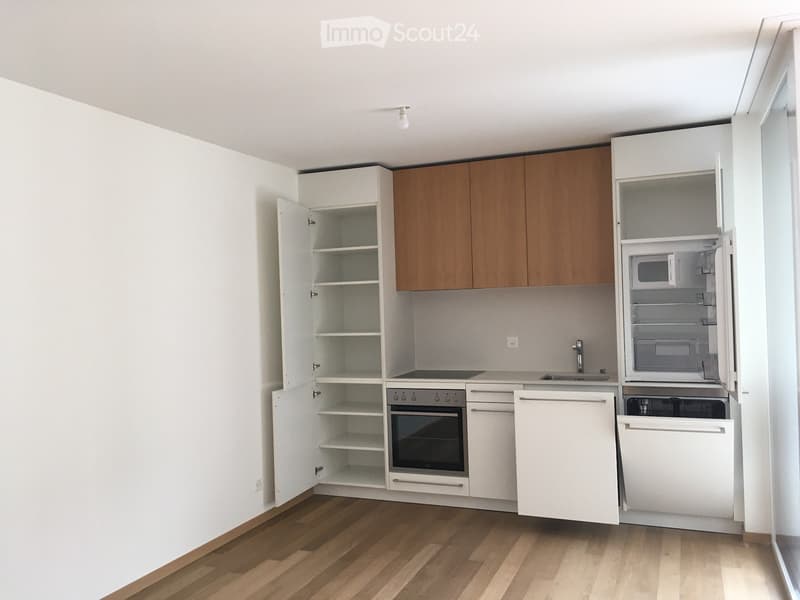 Appartement 2,5 pièces ensoleillé (1)