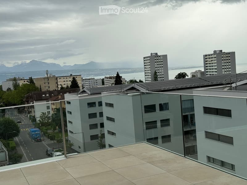 Bell'appartamento 2.5 locali - Losanna - (2)
