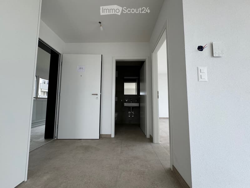 Bell'appartamento 2.5 locali - Losanna - (6)