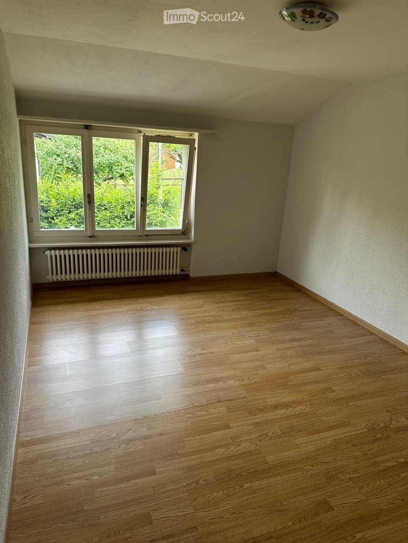 Bello appartamento di 3,5 locali al primo piano (3)