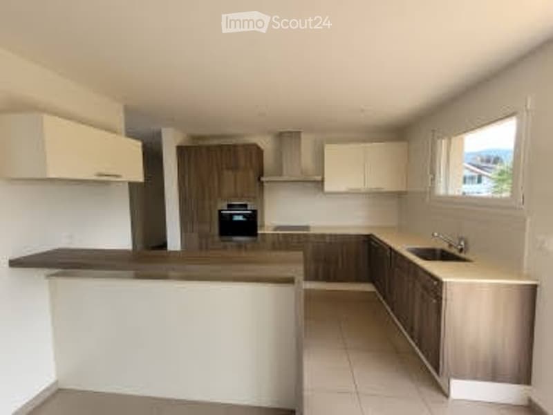 Appartamento 4,5 locali, 115 m2 (5)