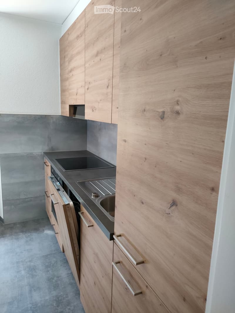 Haus mit 2 Apartments (2)