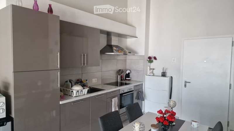 Appartement très lumineux de 2.5 pces à l'attique (2)