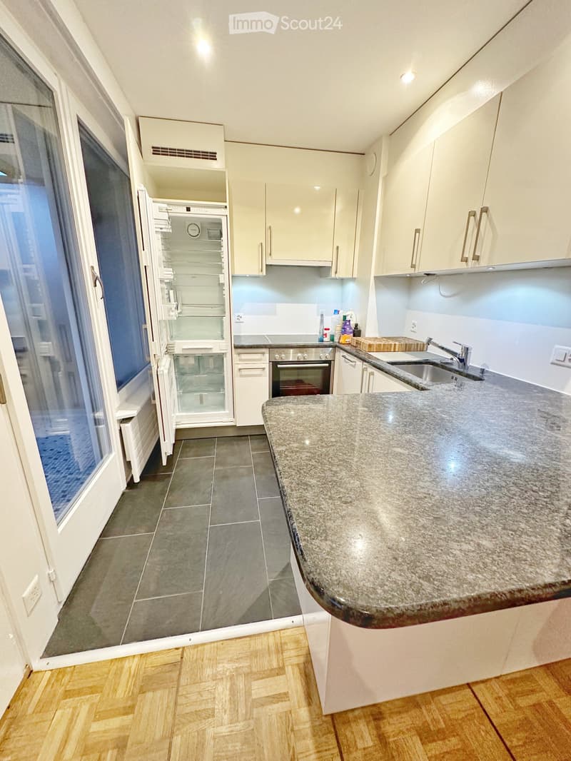 Bright Modern Apartment with Spacious Balcony in Champel (3)