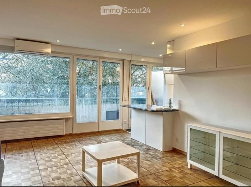 Bright Modern Apartment with Spacious Balcony in Champel (2)