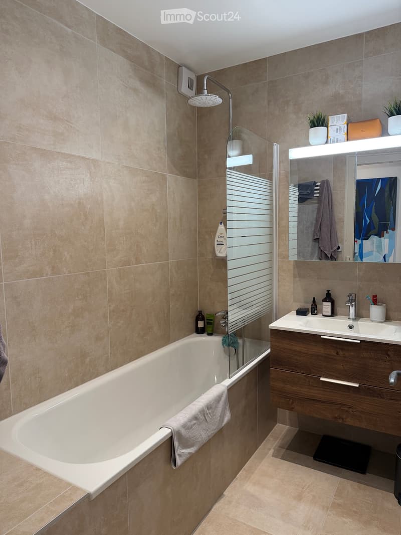 Appartement 3 pièces Eaux Vives à sous-louer (3)