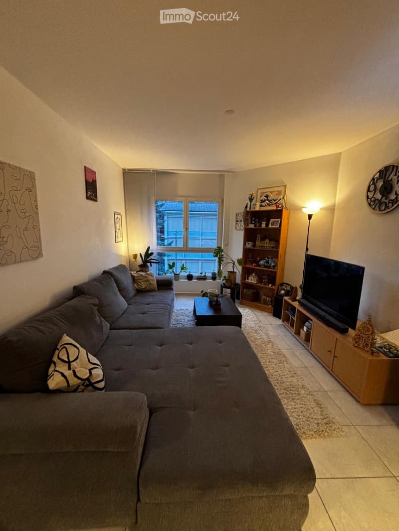 In affitto: bello appartamento di 2.5 locali a Sion (1)