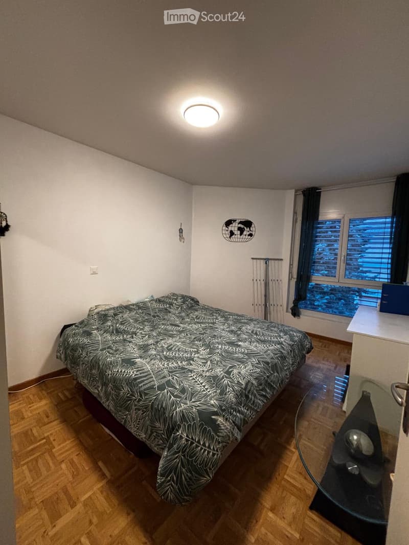 In affitto: bello appartamento di 2.5 locali a Sion (4)
