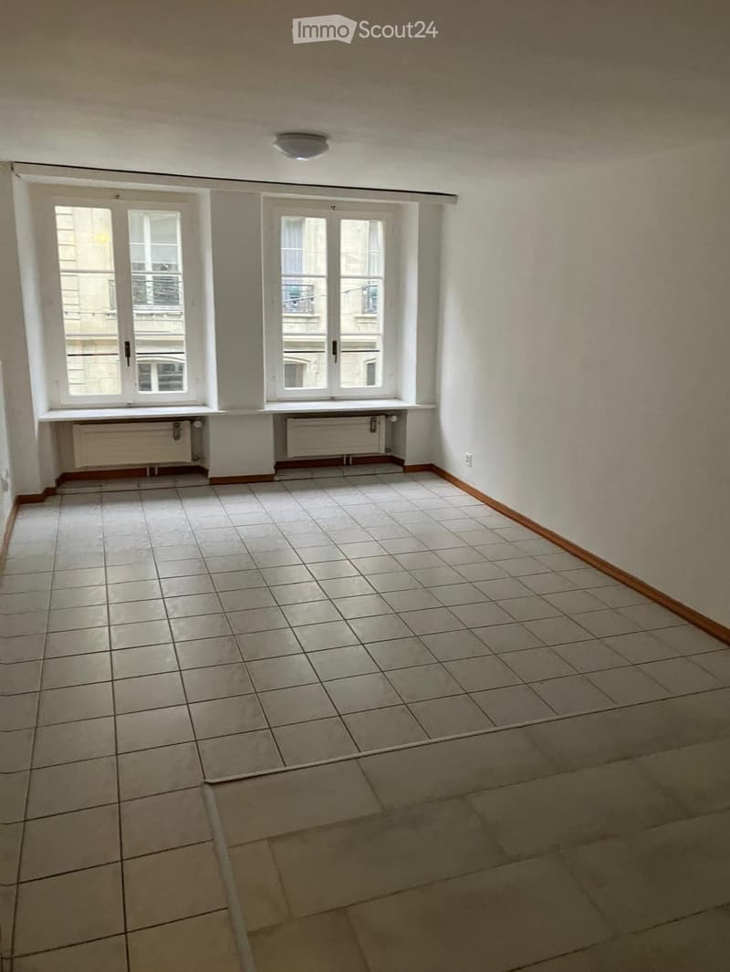 Appartamento di 2 locali ristrutturato nel centro città di Friburgo (1)