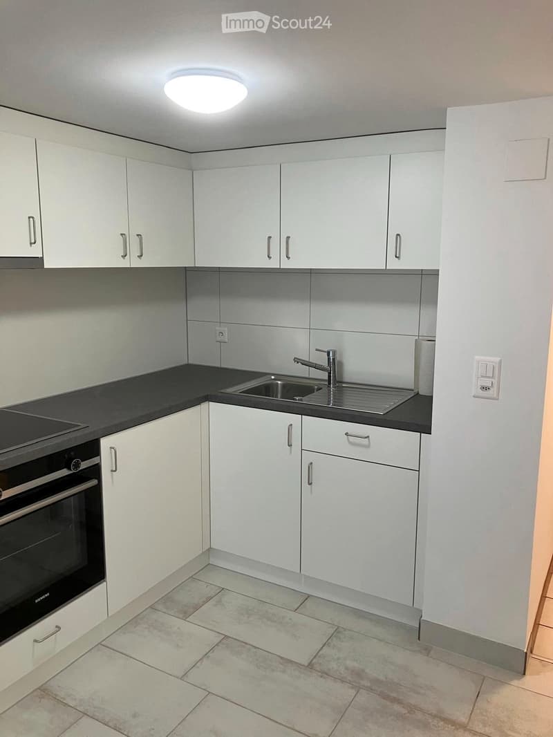 Appartamento di 2 locali ristrutturato nel centro città di Friburgo (5)