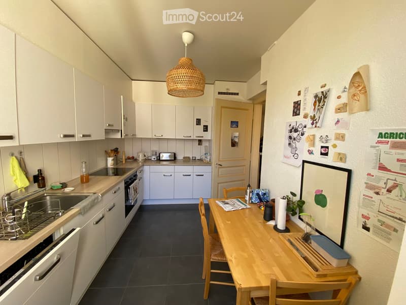 Chambre en colocation à sous-louer juillet-août (5)