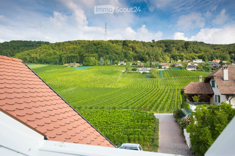 APPARTEMENT À LOUER Bursins (Vaud, Suisse) (5)