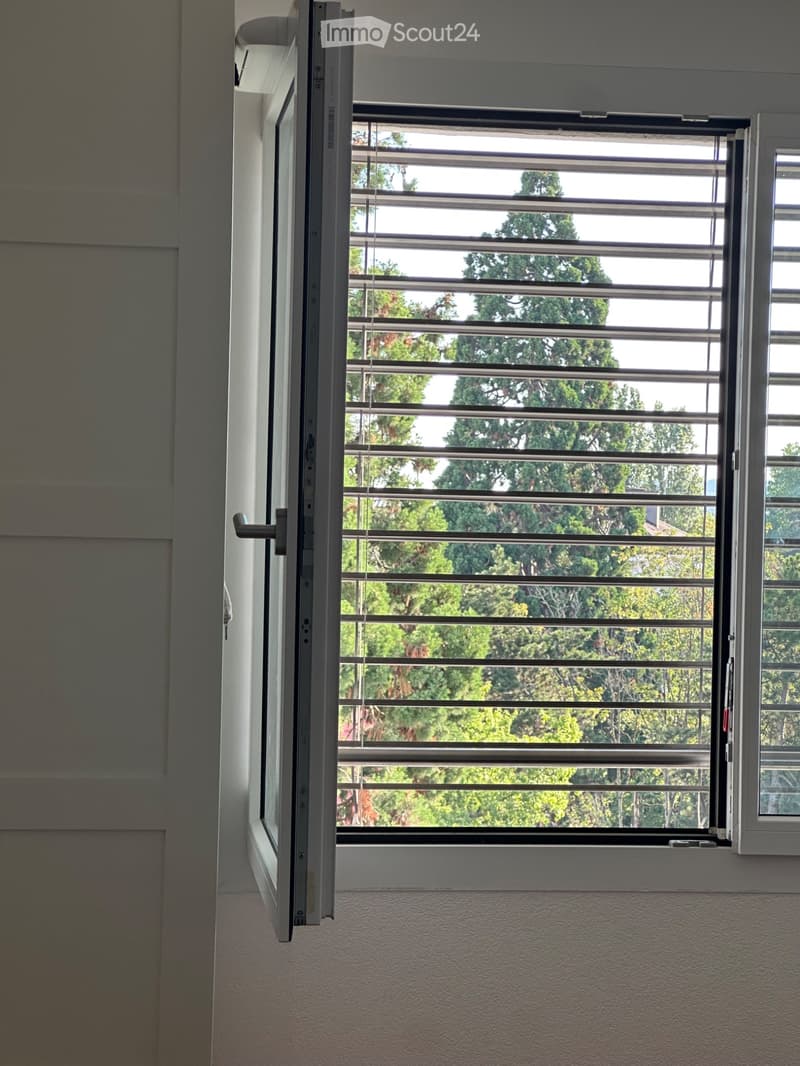 Très bel appartement à Champel (11)
