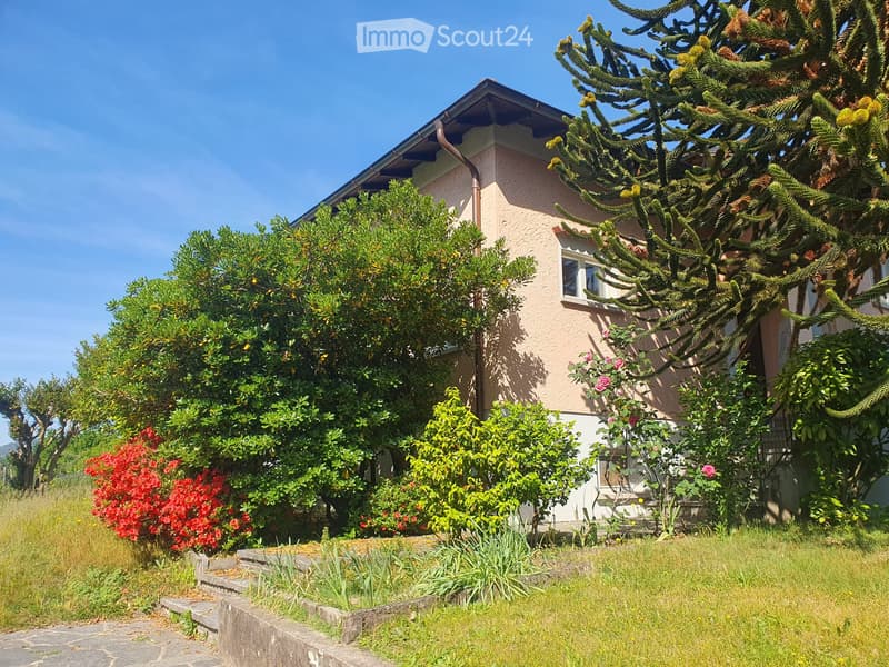 Villa spacieuse individuelle avec vue sur les vignes à Morbio Inferiore (1)