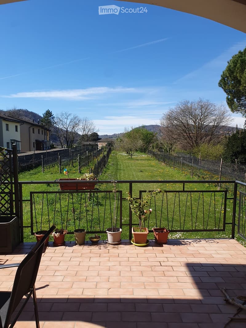 Villa spacieuse individuelle avec vue sur les vignes à Morbio Inferiore (3)