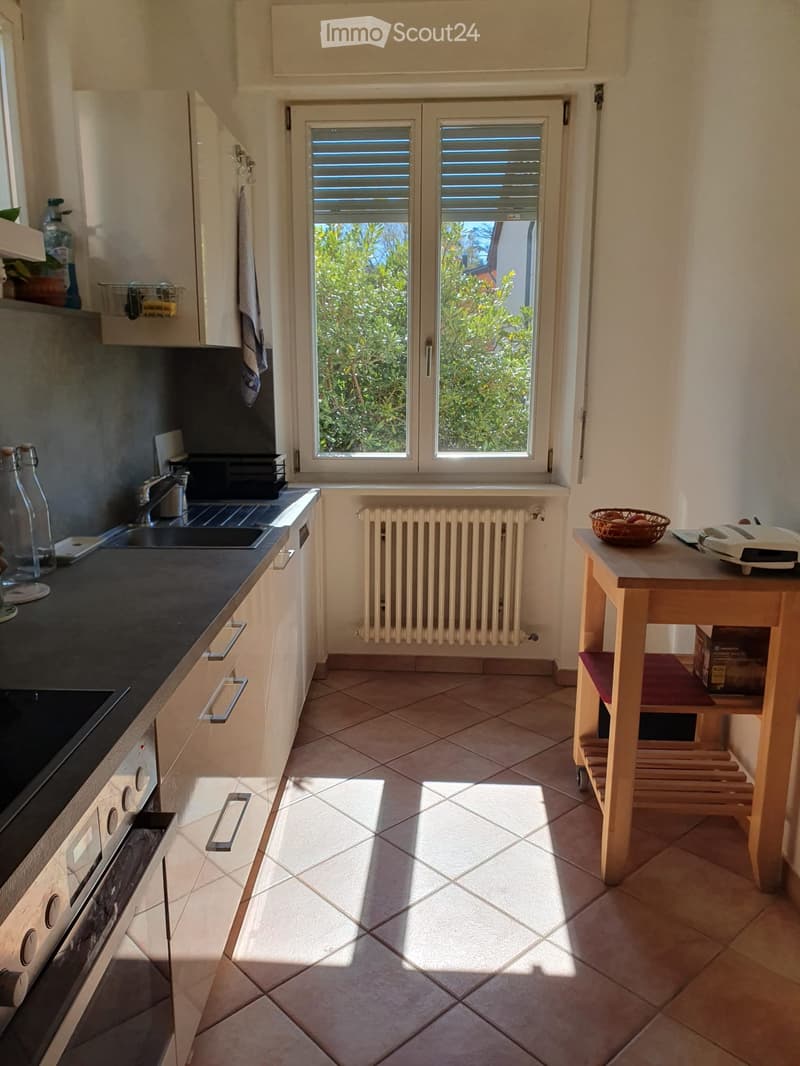 Villa spacieuse individuelle avec vue sur les vignes à Morbio Inferiore (4)