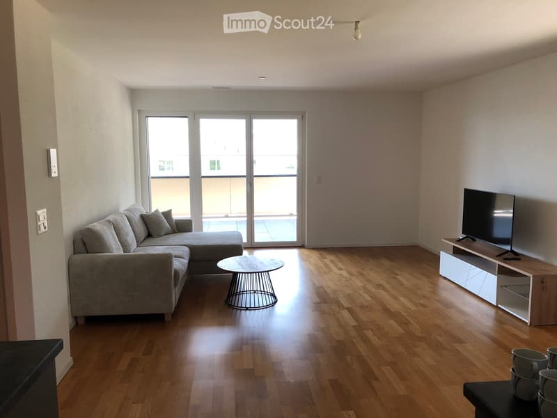 Appartamento 2.5 locali in affitto (1)