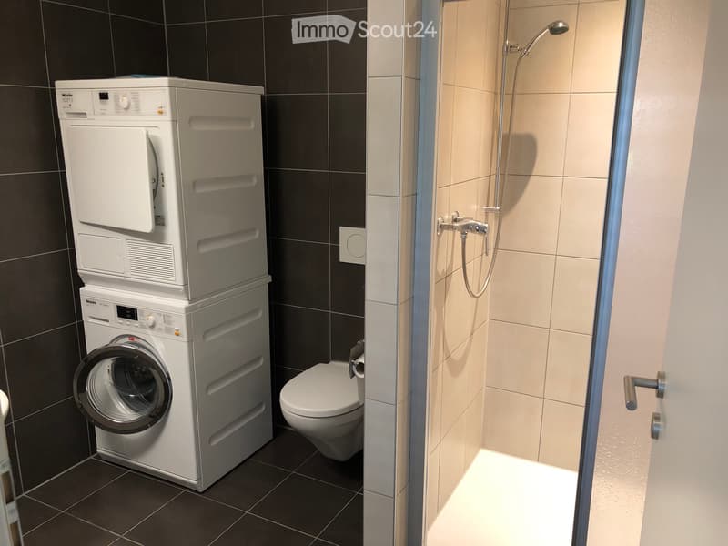 Appartamento 2.5 locali in affitto (3)