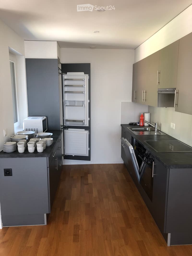Appartamento 2.5 locali in affitto (2)