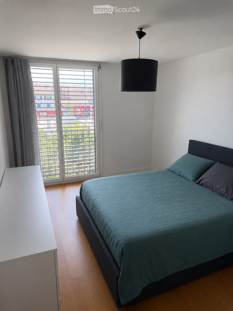 Appartamento 3,5 locali, contratto di affitto da cedere il 01/08/26 (4)