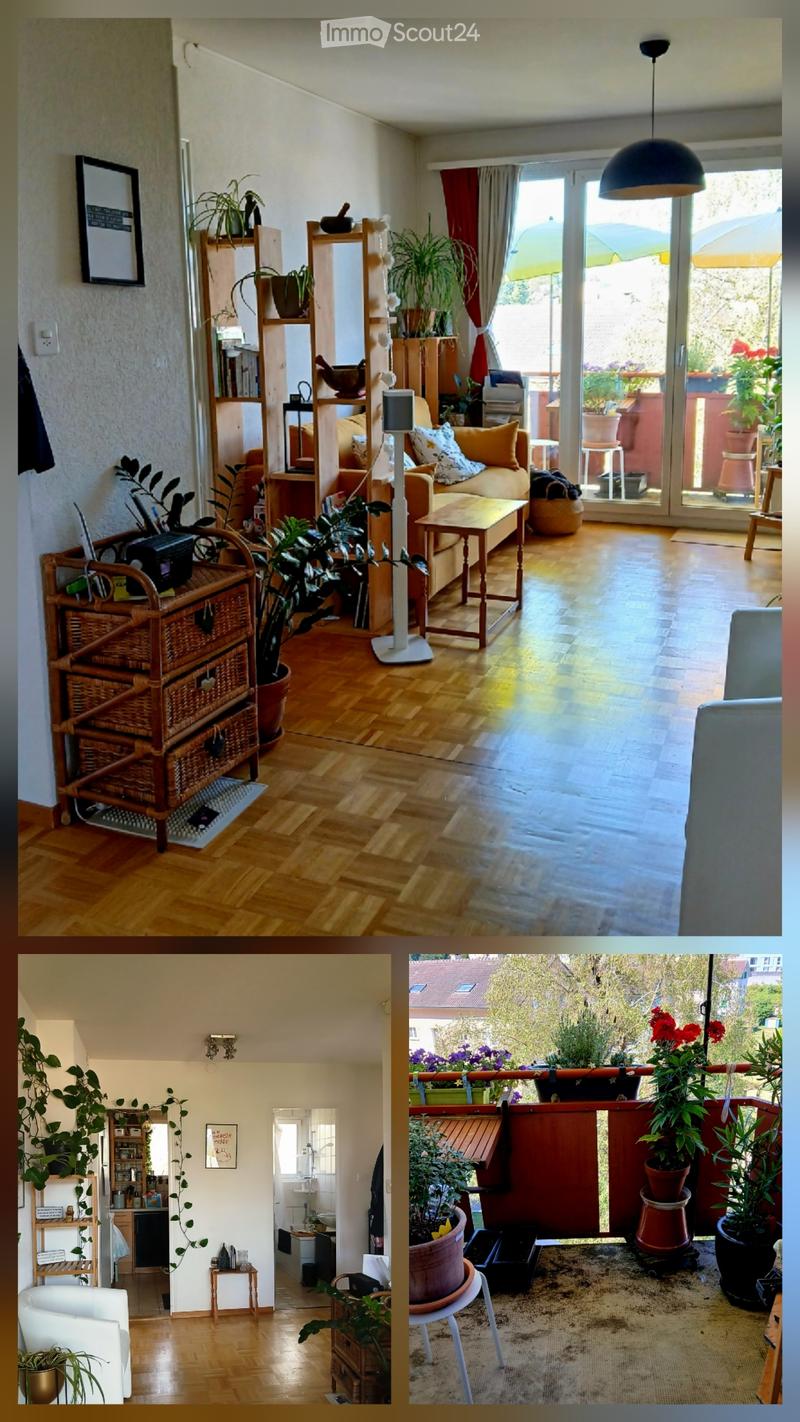 Appartamento 4 locali 1'370.- (1)