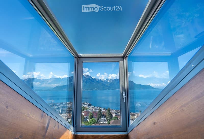 Appartamento di 2,5 locali con vista panoramica sul lago (3)