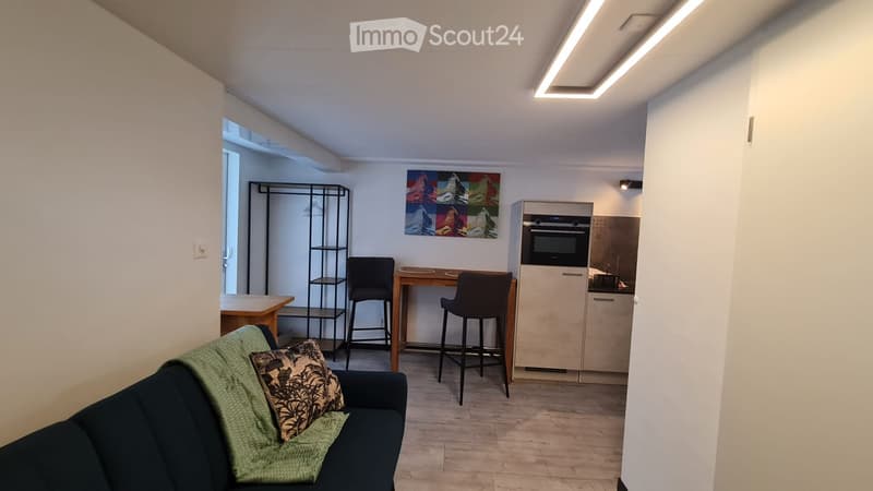 Studio meublé, toutes charges comprises (3)