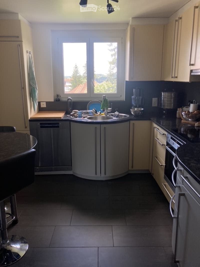 Appartamento, 3 locali ½ (5)