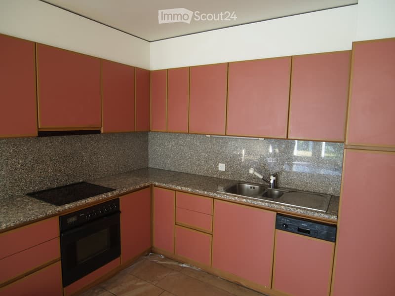 Minusio, vend appartement 2 pièces avec jardin, revenu locatif (3)