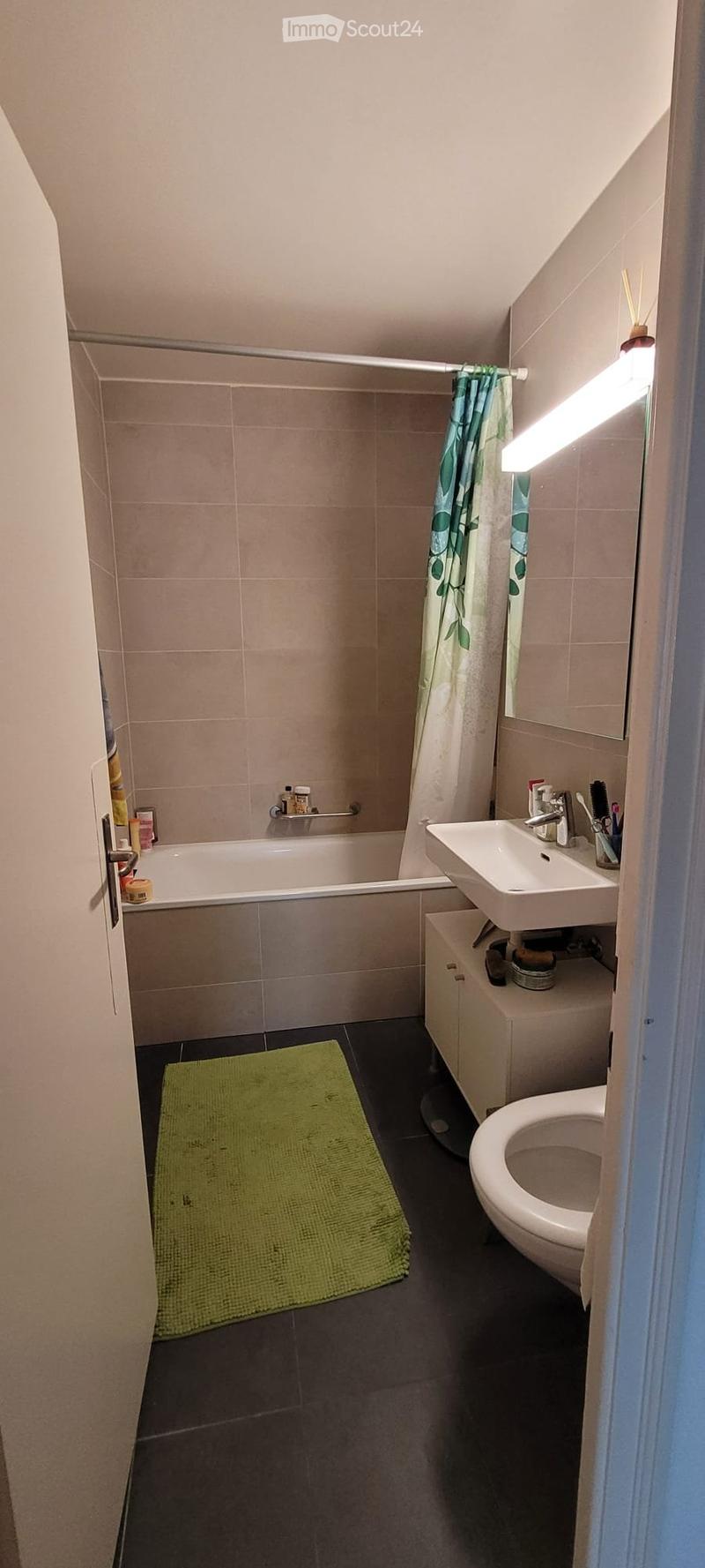 Ecublens Superbe 2.5 pc lumineux et traversant avec balcon (3)