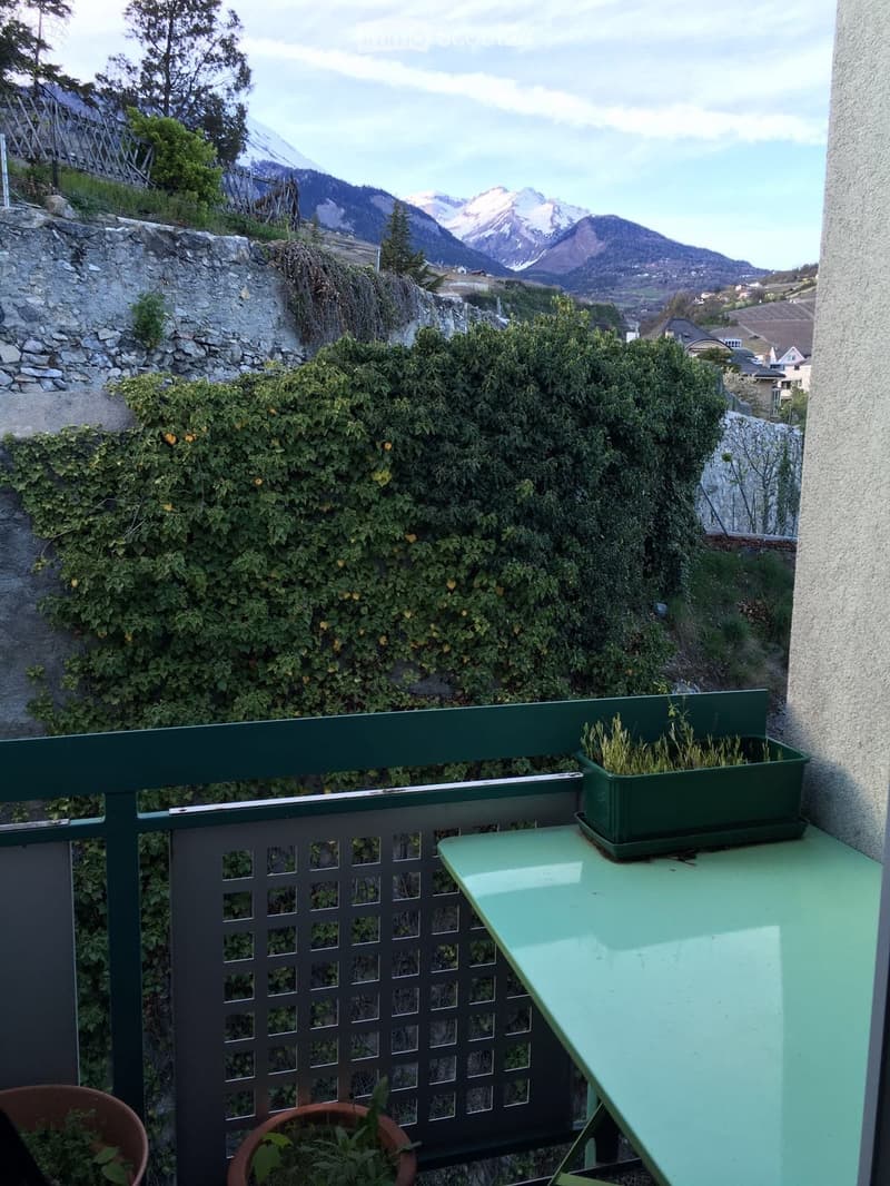 Sion centre 4,5 pces (5)