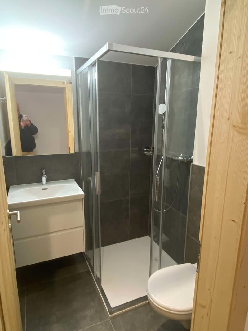 Charmant appartement 3 pièces dans les combles avec balcon (2)