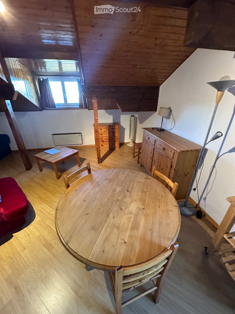Studio Meublé 38m2 La Cure (5)