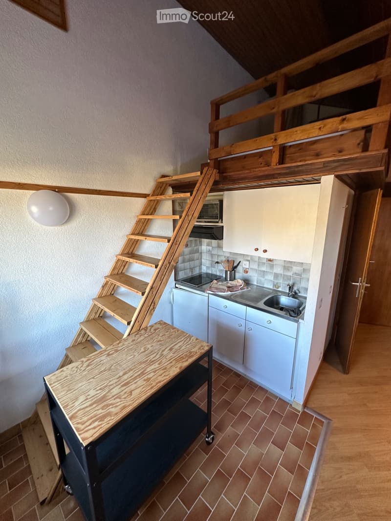 Studio Meublé 38m2 La Cure (2)