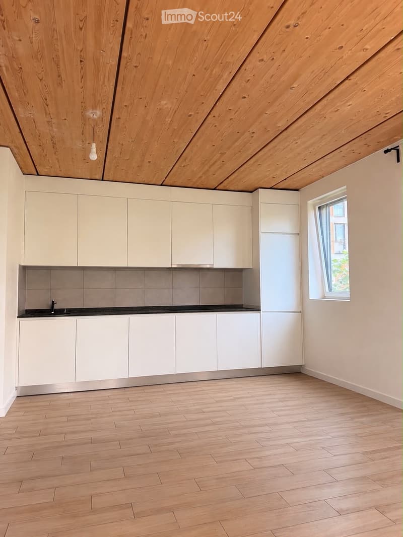 Magnifique duplex de 5 pièces aux Vergers (Meyrin) (3)