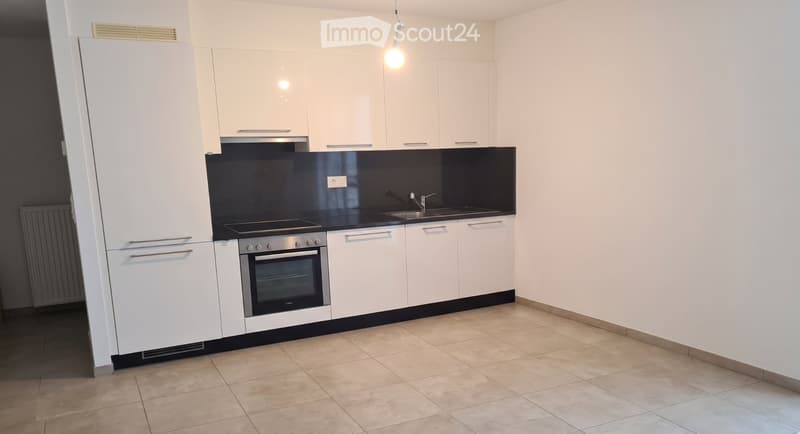 TO TAKE OVER: Superb bright apartment, Lutry from August (3)