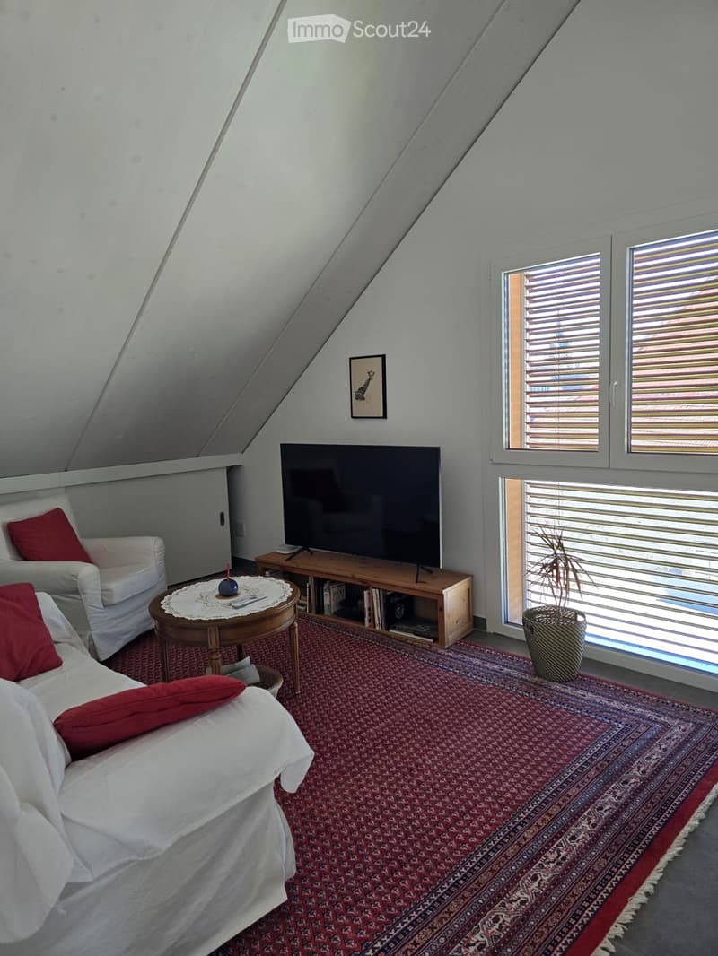 Magnificent 4.5-room apartment (3)