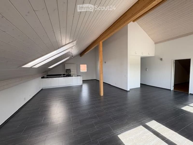 Grosse moderne und klimatisierte 3.5 Zimmer Dachwohnung (1)