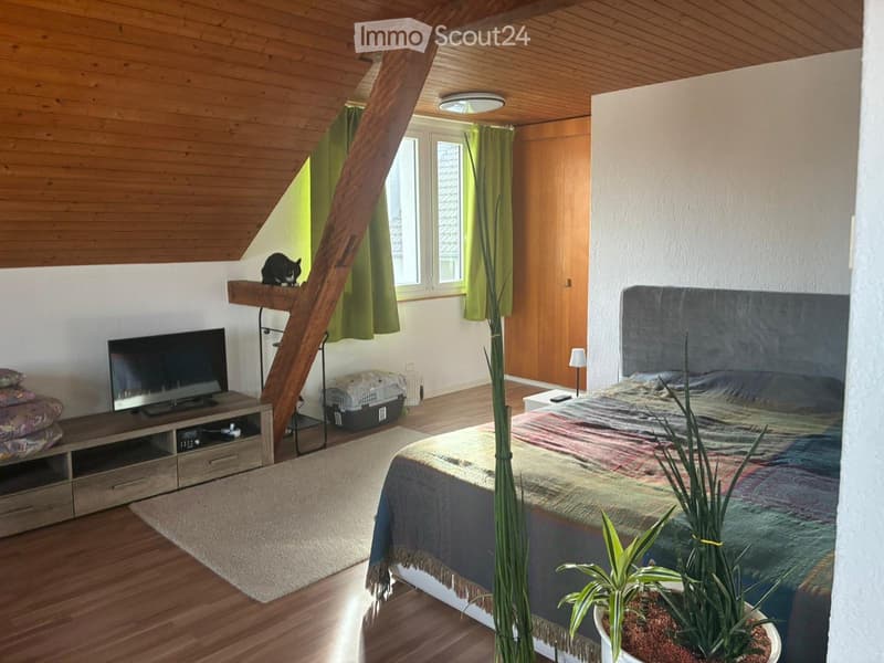Appartamento accogliente di 2.5 locali a Oberdorf SO (4)