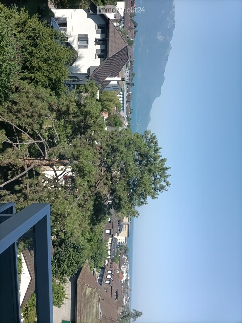 Ampia camera con balcone in condivisione (3)