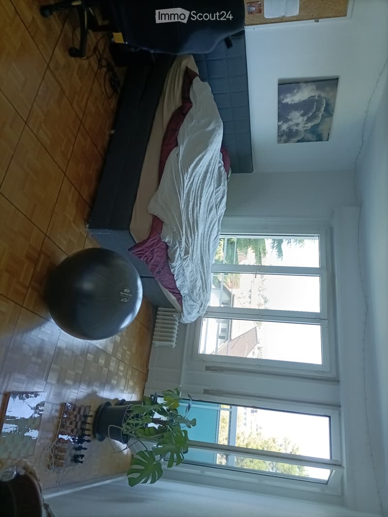 Ampia camera con balcone in condivisione (5)