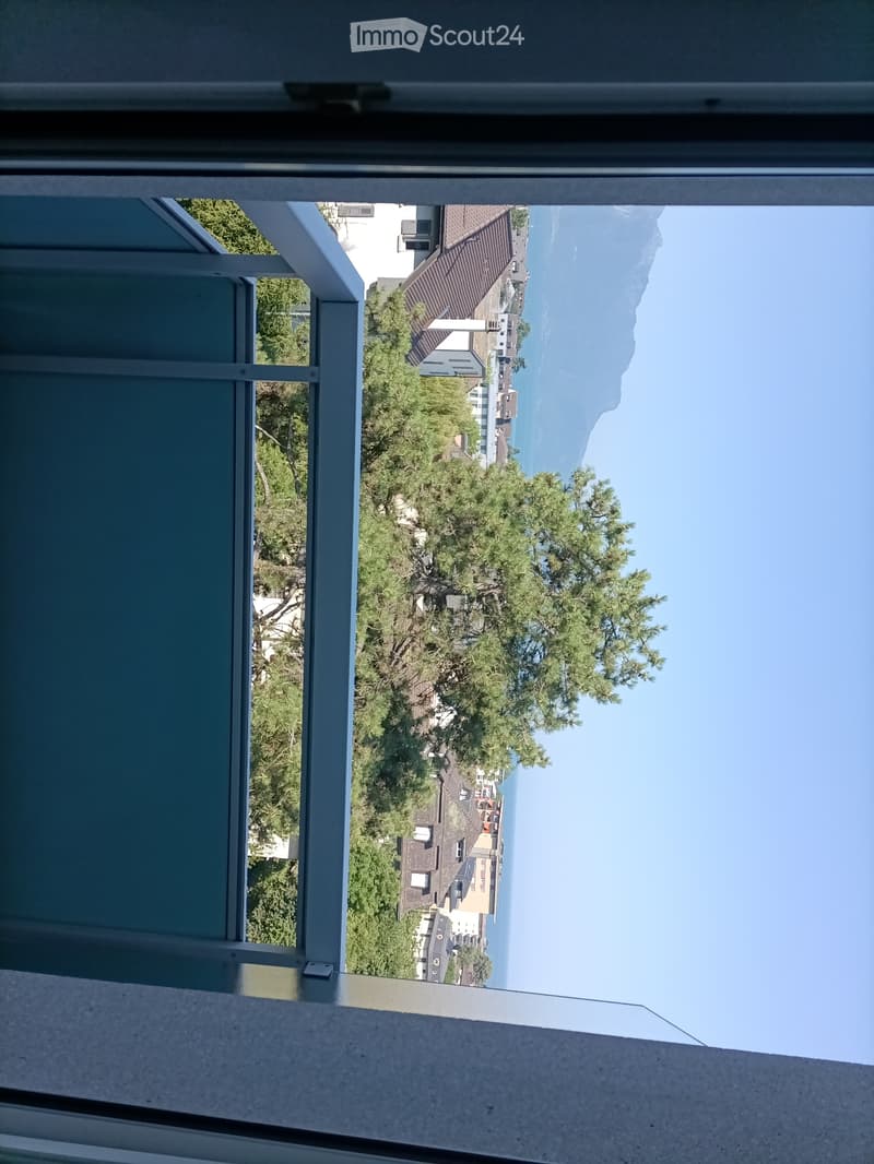 Ampia camera con balcone in condivisione (2)