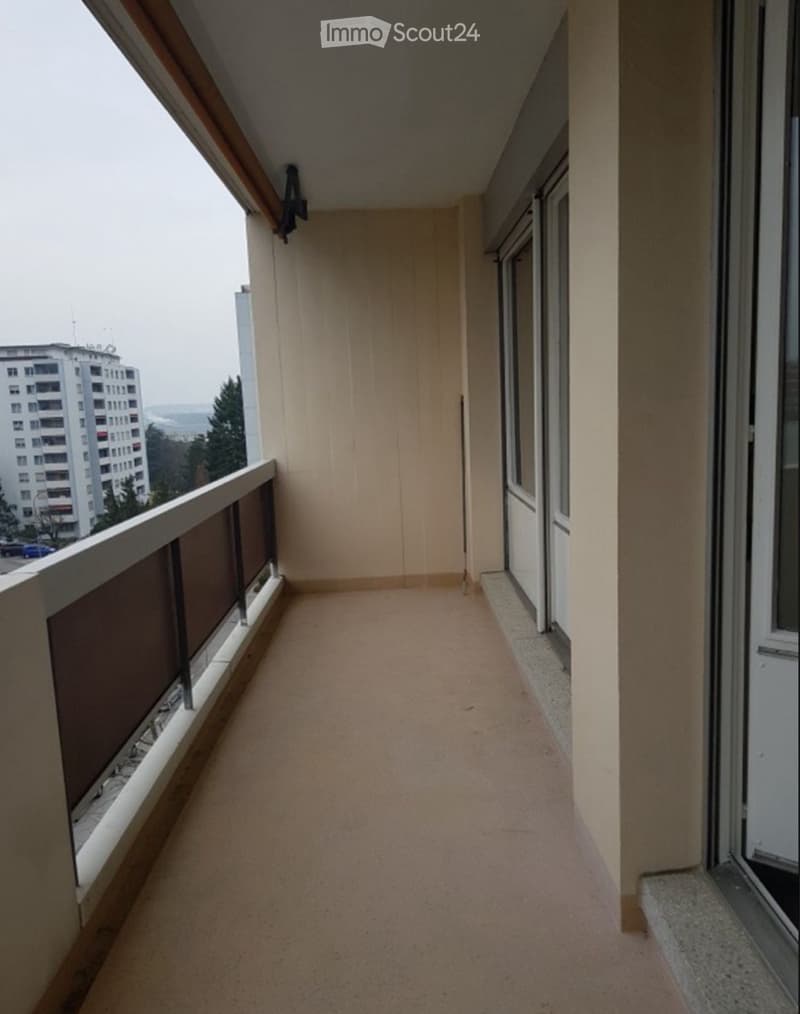 Appartamento 6 locali - Grand-Saconnex (6)