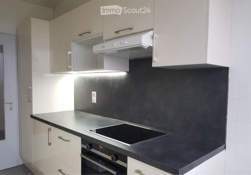 Appartamento 6 locali - Grand-Saconnex (4)