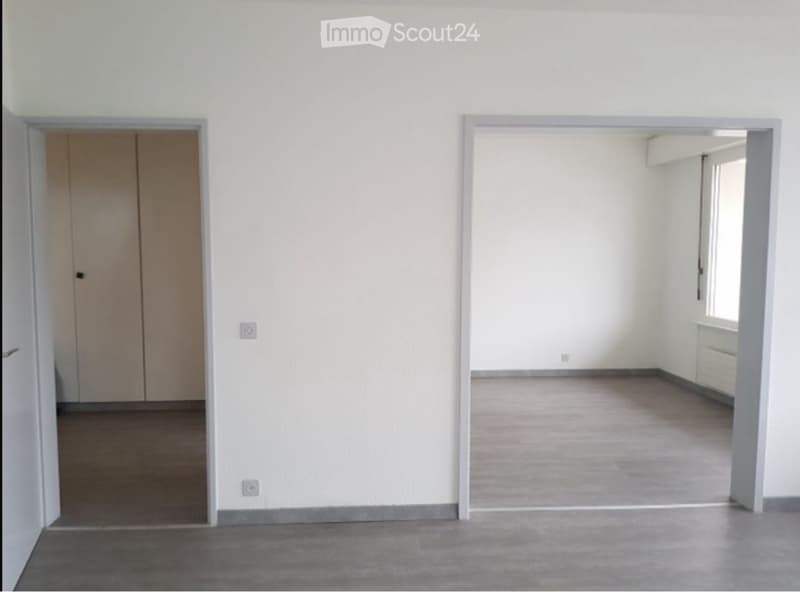 Appartamento 6 locali - Grand-Saconnex (9)