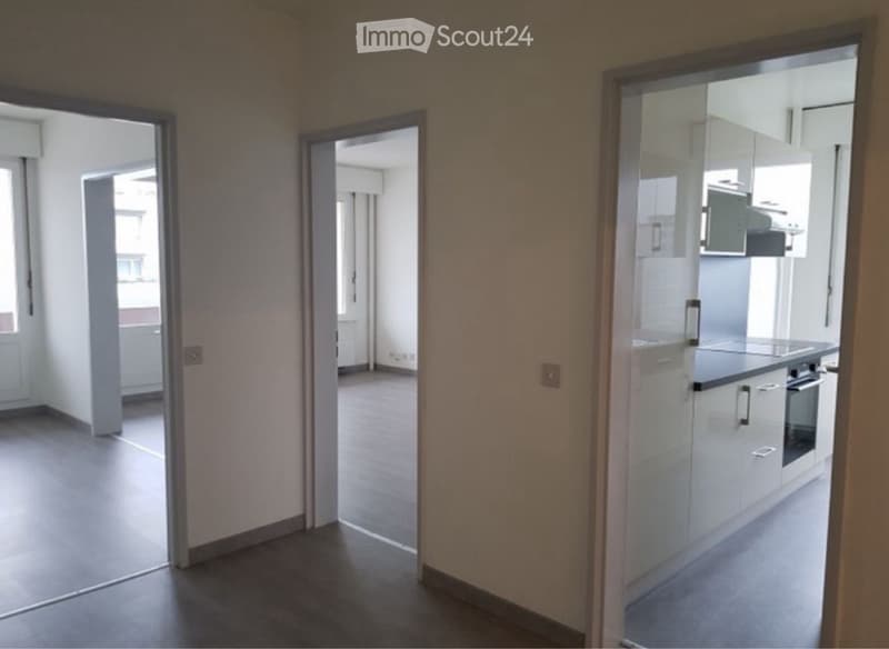 Appartement 6 pièces spacieux au Grand-Saconnex (2)