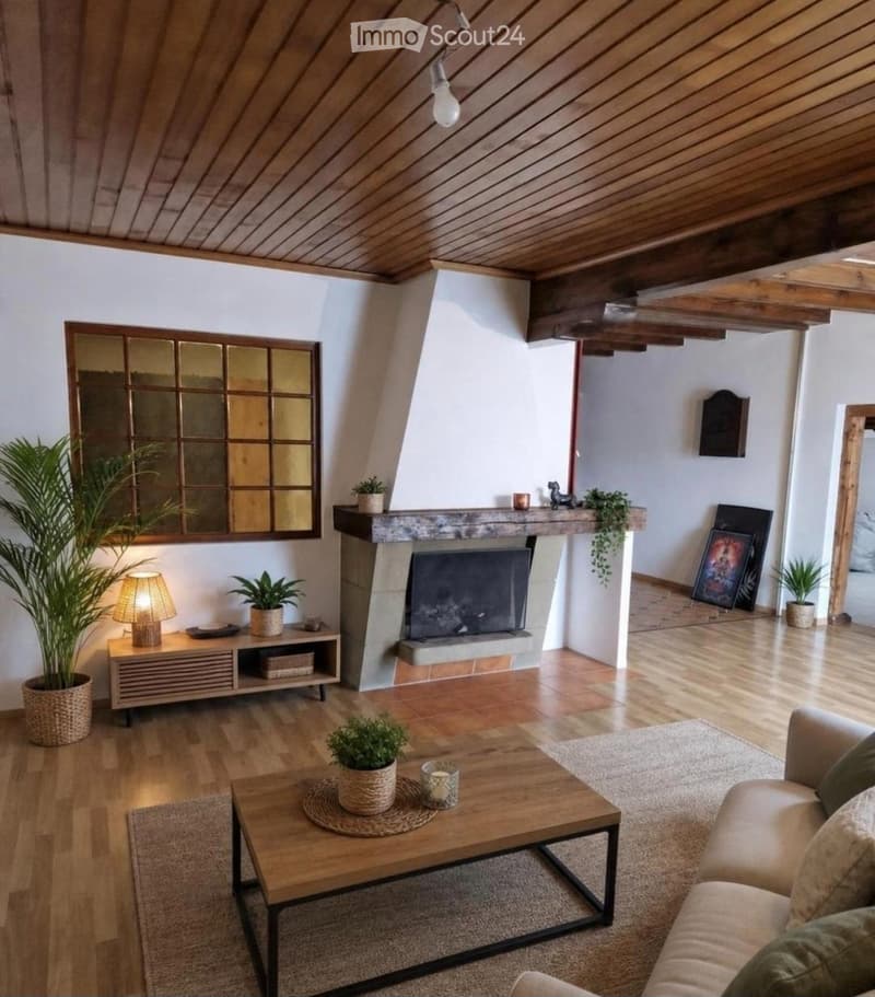 Appartamento di 4,5 locali con terrazza (3)