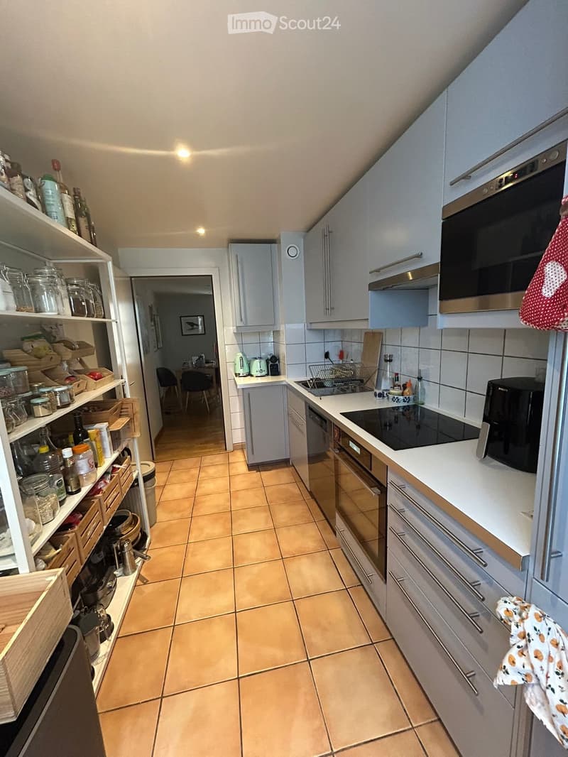 For rent 4 rooms in Saint-Gervais, Geneva (5)