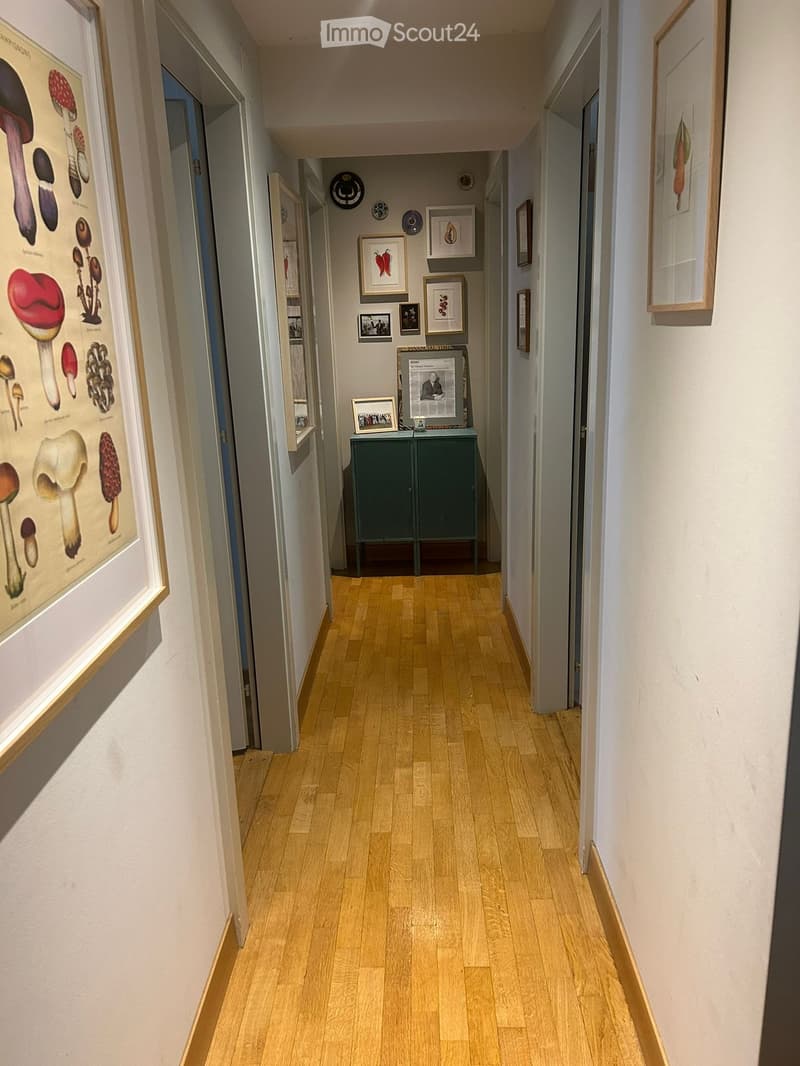 For rent 4 rooms in Saint-Gervais, Geneva (4)